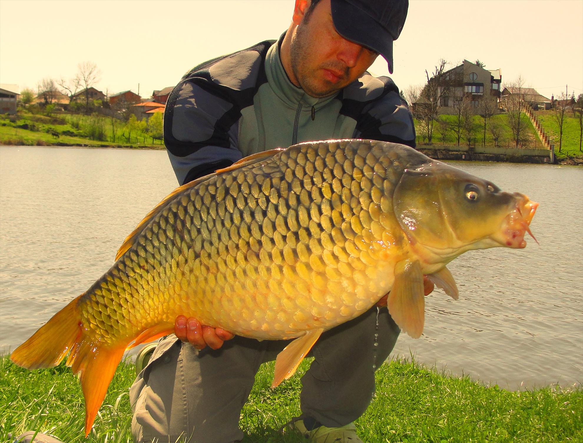 Moara Vlasiei 2 10 apr.